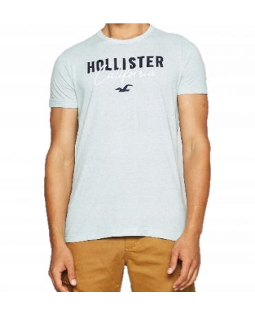Hollister California T-Shirt Logo Haft  Green Blue