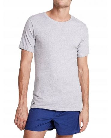 LACOSTE Szara Koszulka O-neck Slim Fit Klasyk
